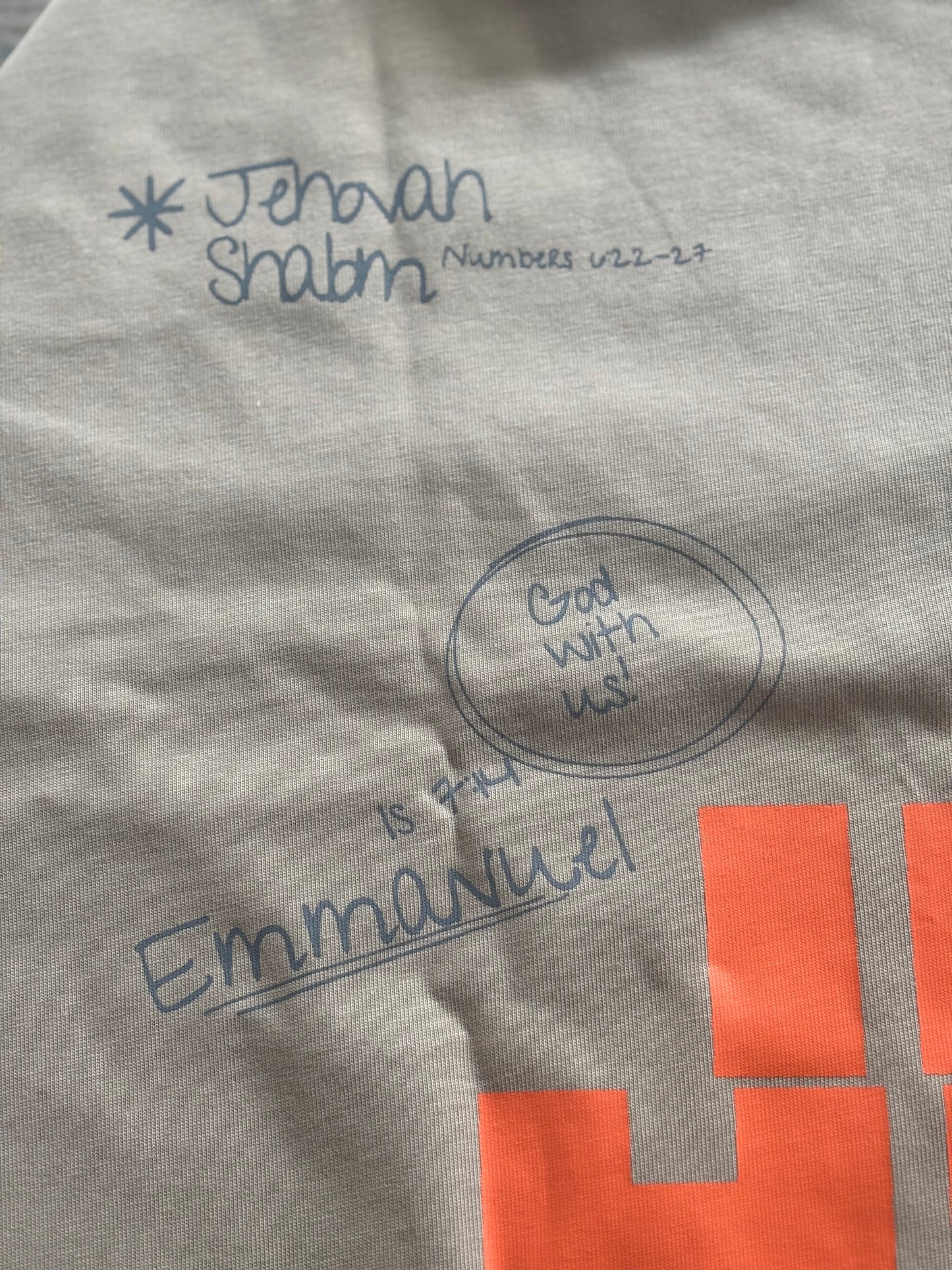 Oversized Tan Graphic Embroidered/Print Tee - His Name